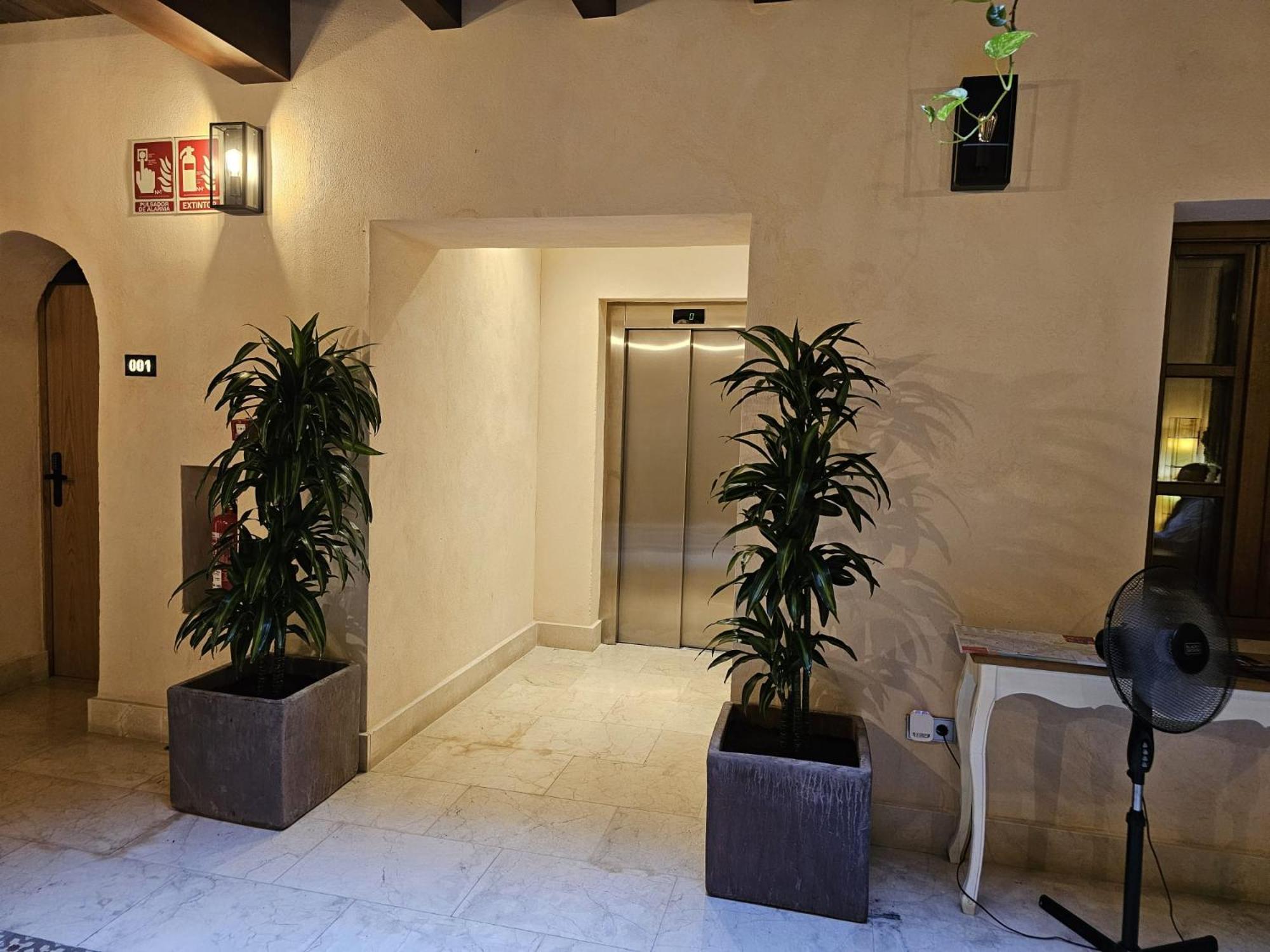 Hemd Puerta Real Boutique Gasthof Sevilla